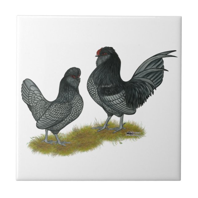 Belgian Watermaal Bantams Tile (Front)