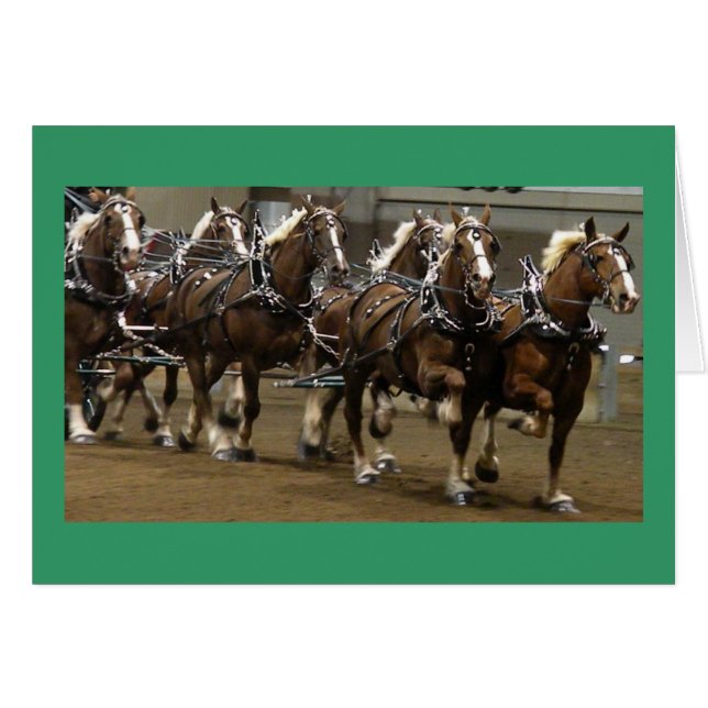 Belgians Card (Front Horizontal)