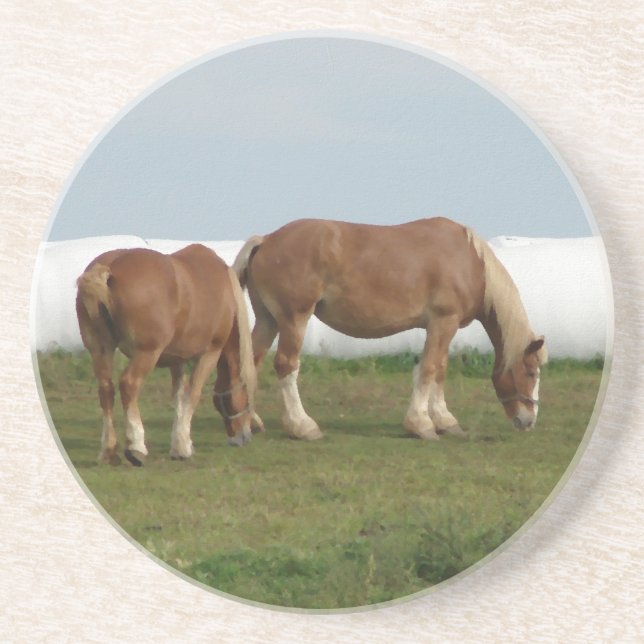 Belgians Coaster (Front)