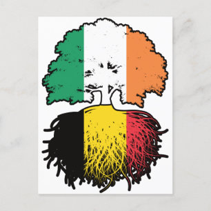 Belgium Belgian Irish Ireland Tree Roots Flag Postcard