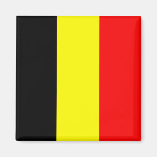 Belgium Magnet