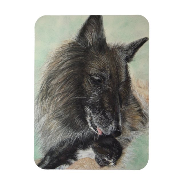 belgium shepherd dog cuddling black kitten magnet (Vertical)