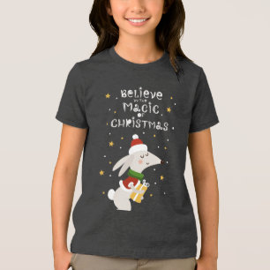 Believe In The Magic Of Christmas Cute Dog Tri-Blend Shirt