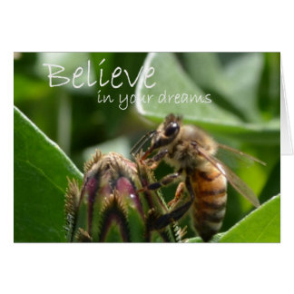 Believe in your Dreams