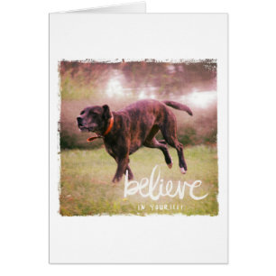 Believe in Yourself Dog