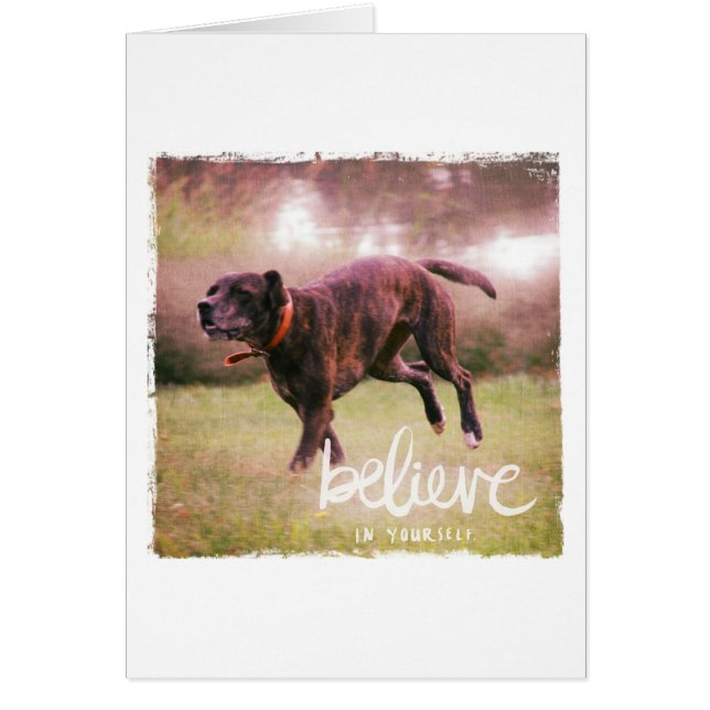 Believe in Yourself Dog (Front)