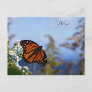 Believe! Postcard