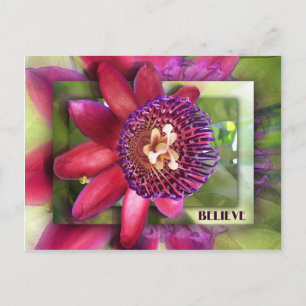 Believe Postcard