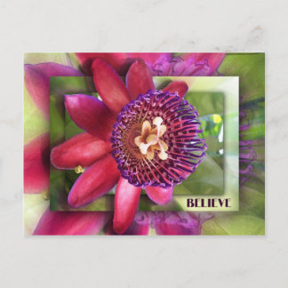 Believe Postcard