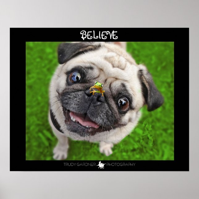 Believe Pug Frog Poster (Front)