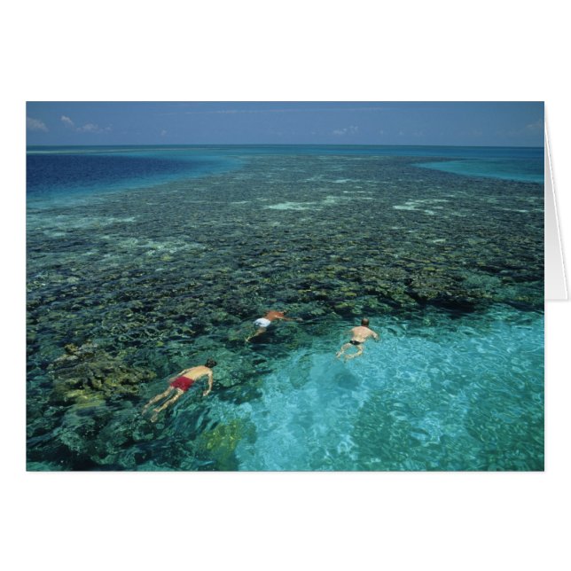 Belise, Barrier Reef, Lighthouse Reef, Blue (Front Horizontal)