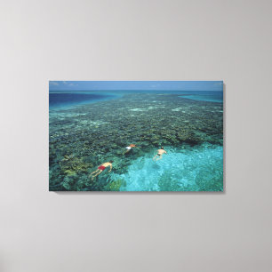 Belise, Barrier Reef, Lighthouse Reef, Blue Canvas Print
