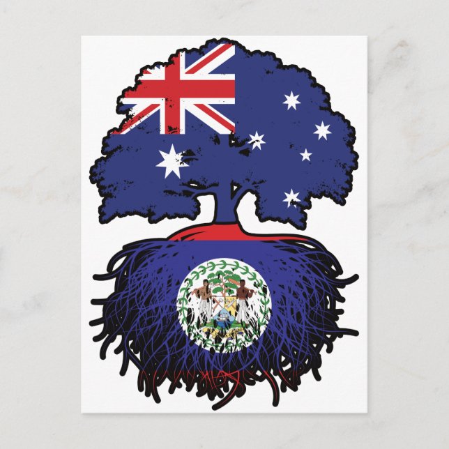 Belise Belizean Australian Australia Tree Roots Postcard (Front)