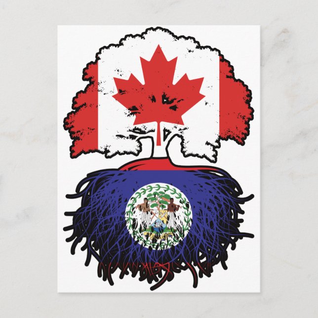 Belise Belizean Canadian Canada Tree Roots Flag Postcard (Front)