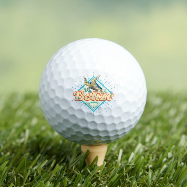 Belise Caribbean Retro Turtle Vintage Souvenir Golf Balls (Insitu Tee)