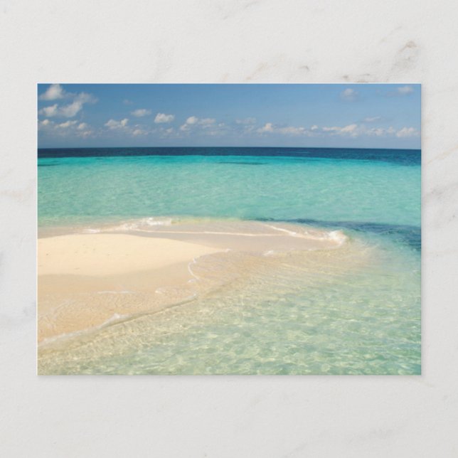 Belise, Caribbean Sea. Goff Caye, A Small Island Postcard (Front)