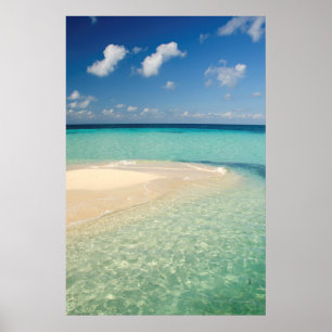 Belise, Caribbean Sea. Goff Caye, A Small Island Poster