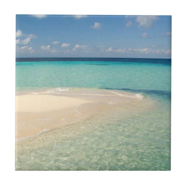 Belise, Caribbean Sea. Goff Caye, A Small Island Tile (Front)