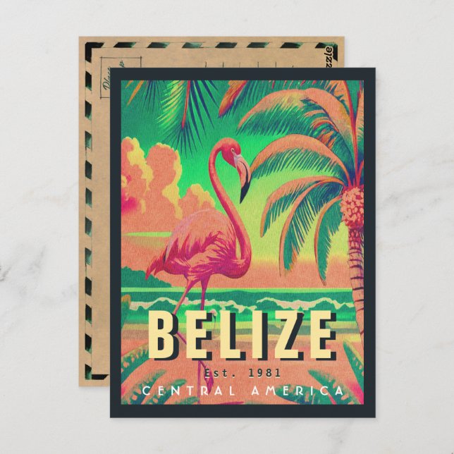 Belise Central America Vintage Tropical 1950s Postcard (Front/Back)
