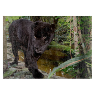 Belise City Zoo. Black panther Cutting Board