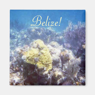 Belise! Coral Reef Magnet