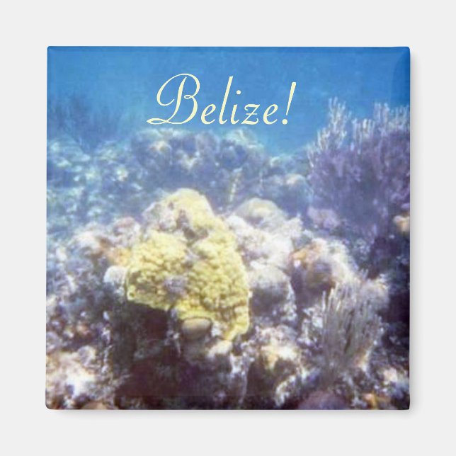 Belise! Coral Reef Magnet (Front)