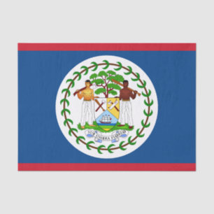 Belise fashion decor, Belise Flag tissue paper