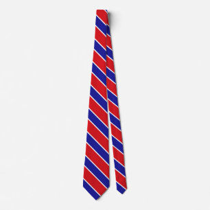 Belise Flag Elegant Patriotic Neck Tie