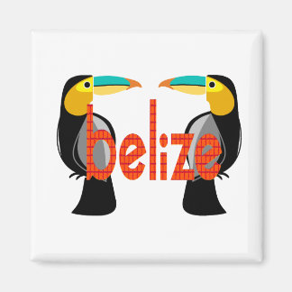 Belise it now magnet