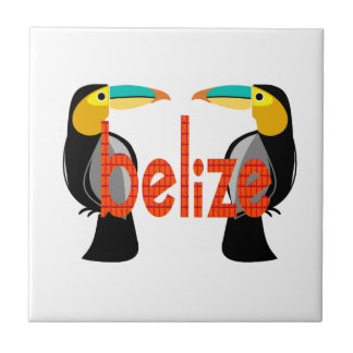 Belise it now tile