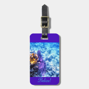 Belise Personalised Luggage Tag
