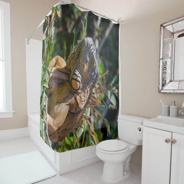 Belise Photography, Iguana Lizard Shower Curtain (In Situ)