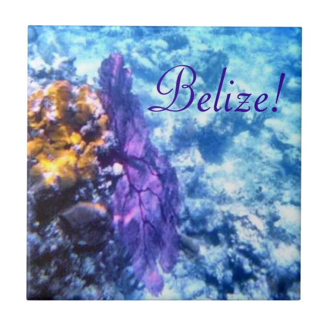 Belise! Purple Sea Fan  Tile (Front)