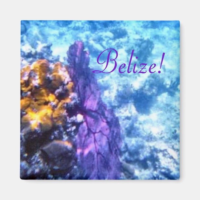 Belise Sea Fan Magnet (Front)