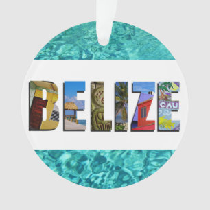 Belise Tropical Beach Blue Ocean Christmas Ornament