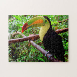 Belise Tucon Birds. Jigsaw Puzzle