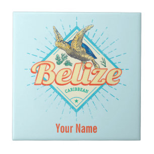 Belize Caribbean Retro Turtle Vintage Souvenir Lug Tile