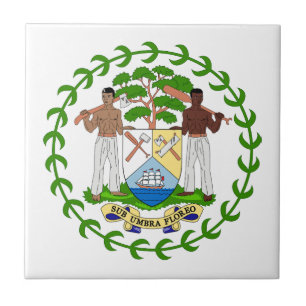 Belize country coat arms symbol emblem flag tile