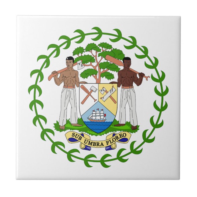 Belize country coat arms symbol emblem flag tile (Front)