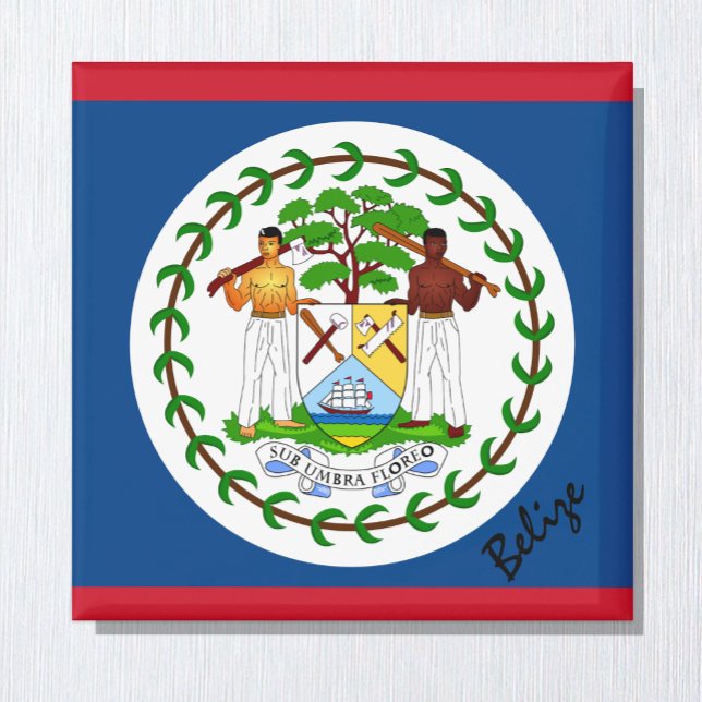 Belize flag & America holiday/sports fans Magnet (Creator Uploaded)