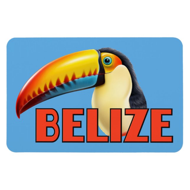 BELIZE Toucan Magnet (Horizontal)