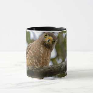Belizean Roadside Hawk Photography Mug