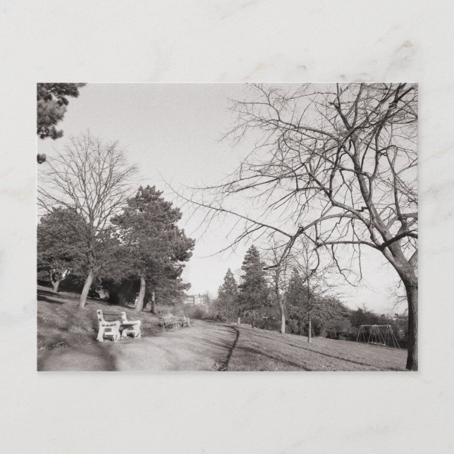 Bell Vue Park, Newport, Mon Postcard (Front)