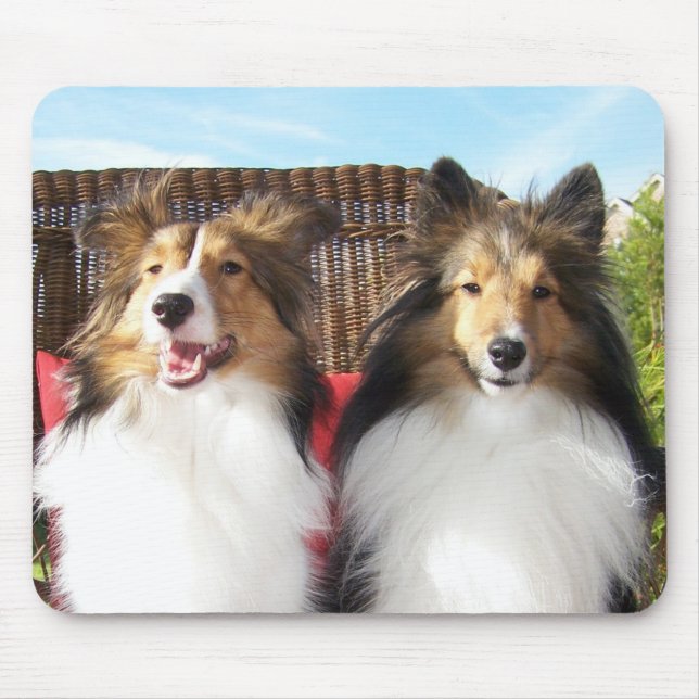 Bella and Grace - On the Porch Mousepad (Front)