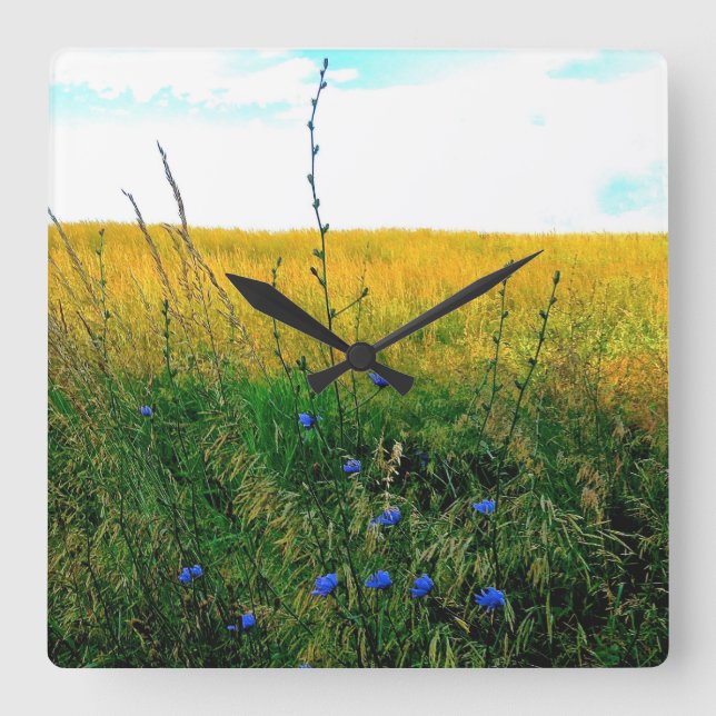 Bella Blue - Chicory Square Wall Clock (Front)