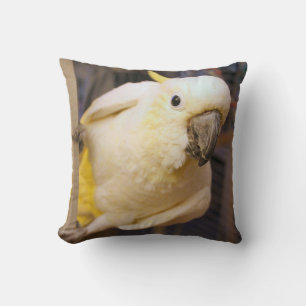 Bella boy cushion