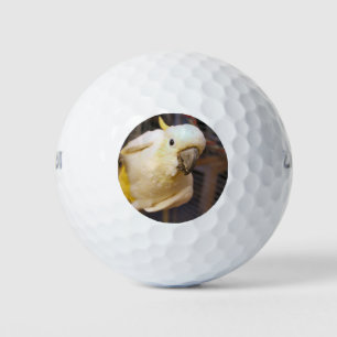 Bella boy golf balls