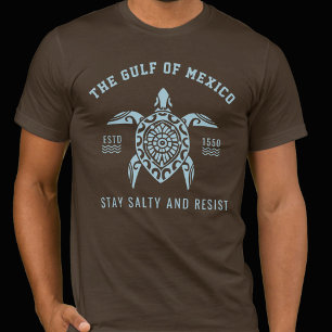 Bella Canvas Gulf of Mexico Stay Salty Resistance T-Shirt