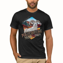 Bella+Canvas Polychrome T-Shirt Black