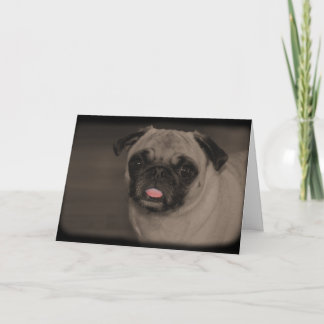 Bella Donna Greeting Card